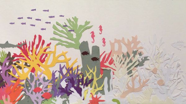 Ocean Awareness Student Contest