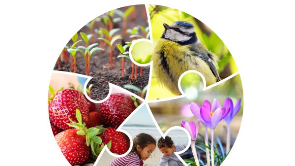 IJECEE, Volume 7, Number 2