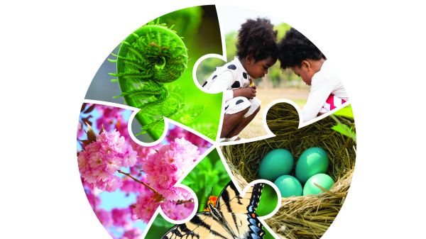 IJECEE, Volume 8, Number 2