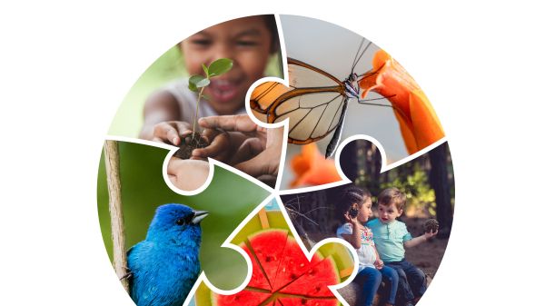 IJECEE, Volume 9, Number 3