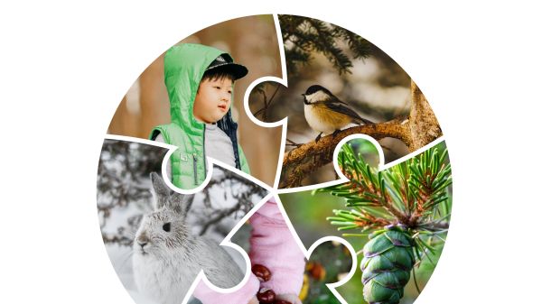 IJECEE, Volume 10, Number 1