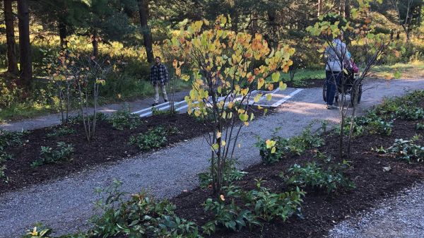 Photo credit: Loren Penman A person in grey shirt and black pants pushing person in pink jacket and blue cap in wheelchair outdoors along path between trees and shrubs