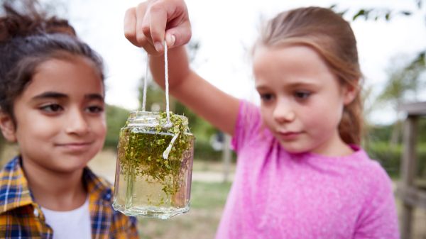 Earth Echo International Water Challenge Two children look at a jar filled with water and green plants; the child on the right is holding the jar up by a string