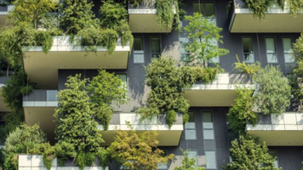 book cover shows trees growing on balconies of building