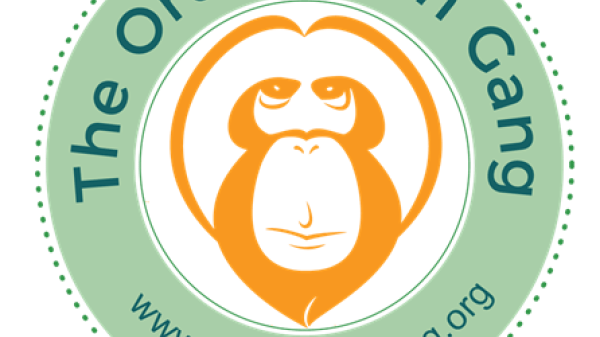 The Orangutan Gang The Orangutan Gang