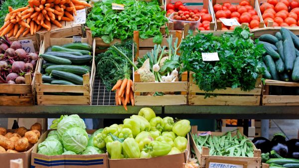 Crates of vegetables of different colors