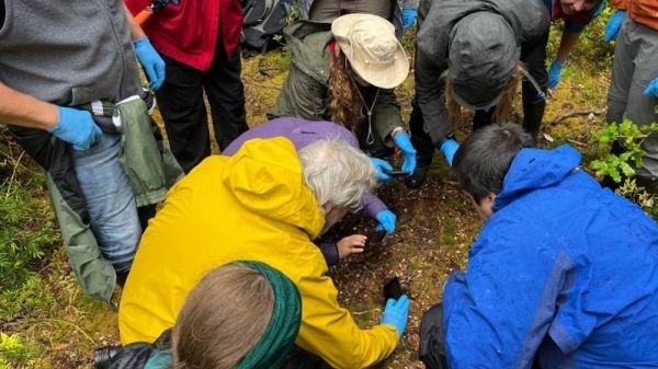 Participants in an environmental education program kneel together in a Patagonian forest in southern Chile, closely observing an endangered Darwin's frog during a hands-on conservation and field ecology learning activity.