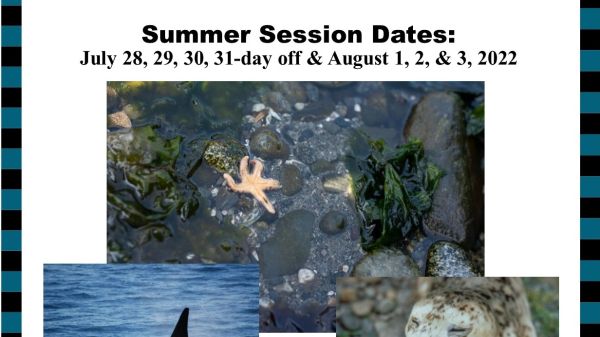 Flyer bordered by blue and black stripes. Inside are three overlapping images of a rocky tidal pool with sea star, a whale, and a seal. Text is in body of post.