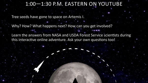 Moon Trees LIVE Flyer