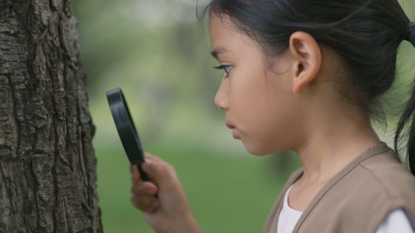 Young girl holding a magnifying glass to look at tree bark