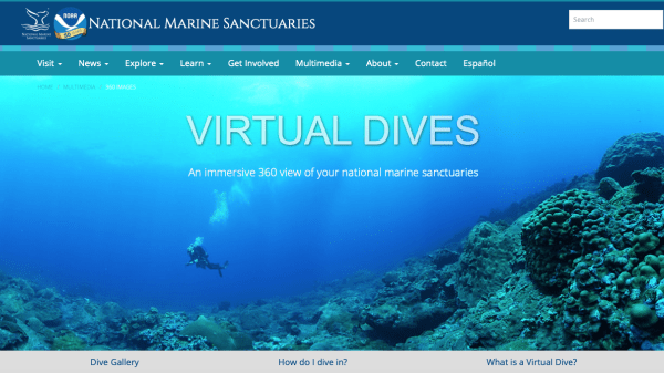 A scuba diver exploring a coral reef