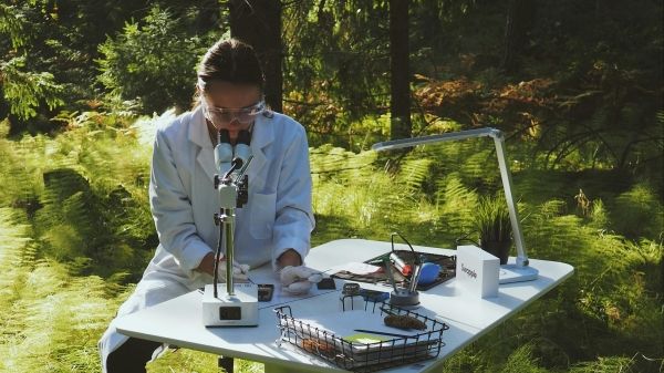 A person sits at a research table in a grassy forested area