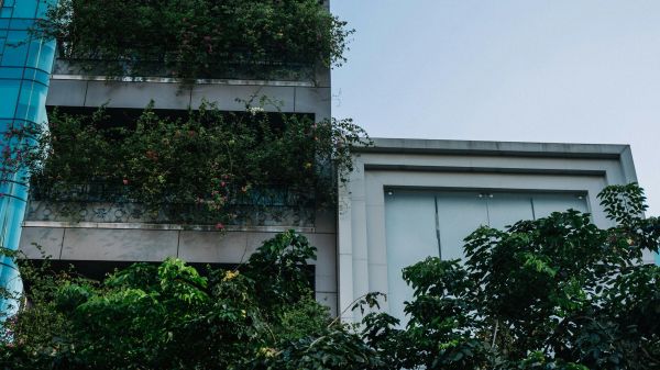 A tall city building covered in greenery