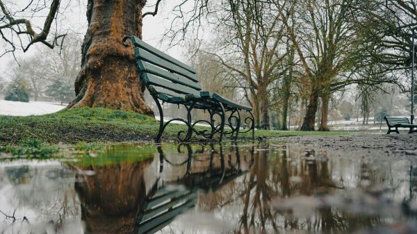 A park bench sits in a flooded area, reflected in the water below it