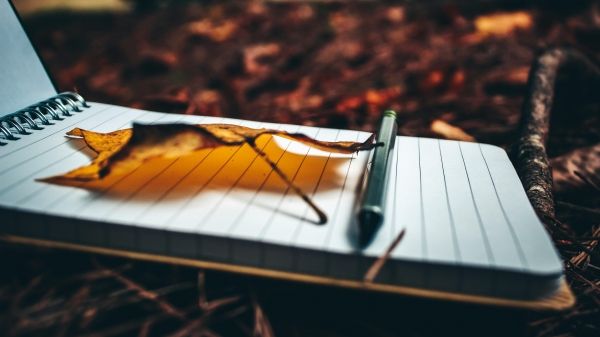 A black pen and brown leaf sit on top of a spiral notebook on a soil-covered ground