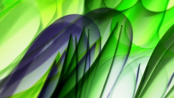Abstract image with green and purple shapes resembling blurred leaves, creating a dynamic visual.
