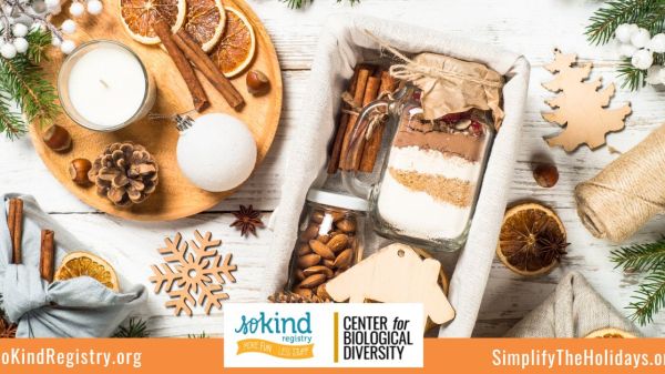 Photo of holiday themed food platter and decor