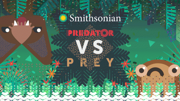 Animated illustration of a bat, a frog, green vegetation and text that says "Smithsonian Predator VS Prey"