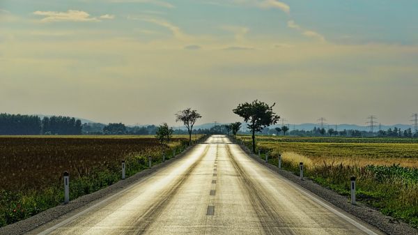 Picture of road through field