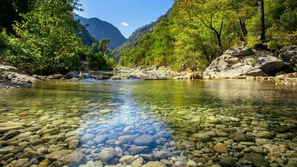 A riverbed in nature