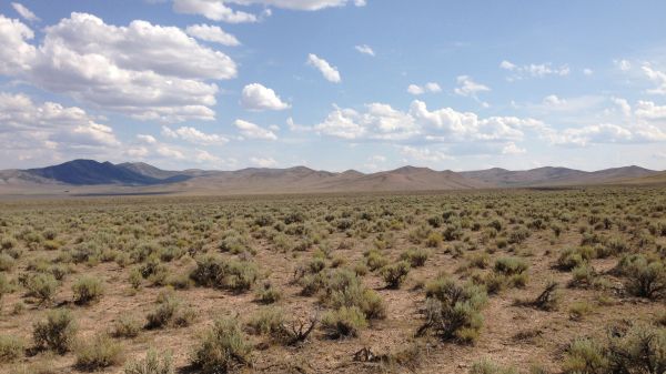 Sagebrush Ecosystem