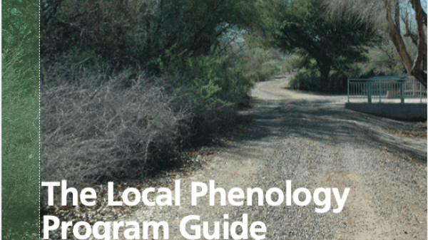 Cover of Local Phenology Program Planning guide