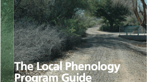 Local Phenology Program Planning Guide Cover of Local Phenology Program Planning guide