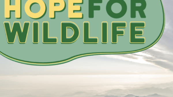 Graphic with yellow and green text that reads, “Hope for Wildlife” and a photo of a mountain range below
