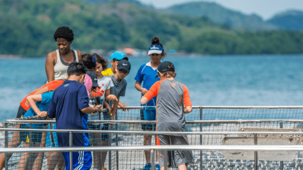 It's a bright sunny day and a group of kids and one adult stand over a fence, curiously looking down into a body of water.