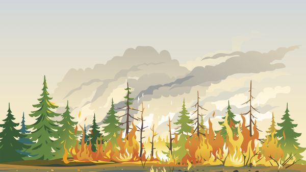 illustration of green trees, yellow and orange fire, grey and beige smoke