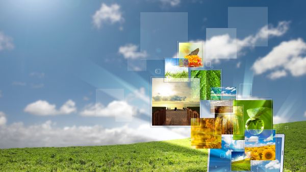 laptop sitting in grass, images of nature coming out of screen