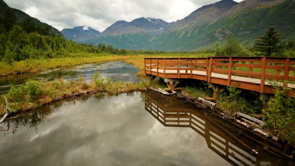 pier over marsh with mountains in background