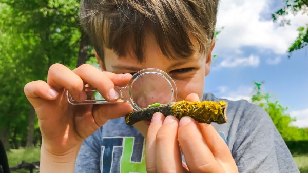 A boy uses a magnifying glass to look at a small green bug on a stick