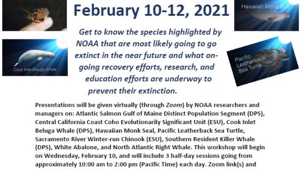 Virtual Workshop: Species in the Spotlight. February 10–12, 2021. 