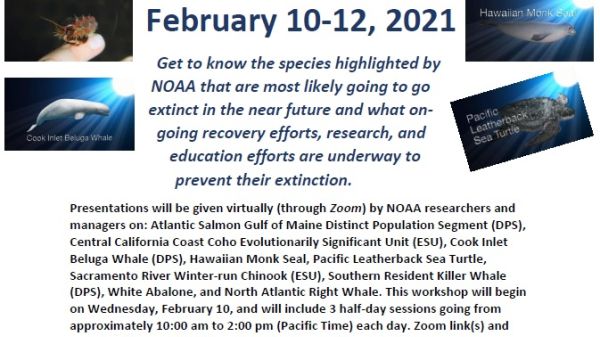 Virtual Workshop: Species in the Spotlight Virtual Workshop: Species in the Spotlight. February 10–12, 2021.