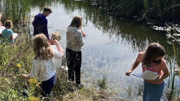 Students exploring their local wetland