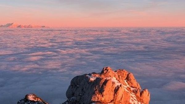 Photo of a mountain peak above a cloud layer, tinted pink by a sunset