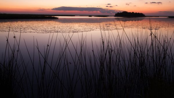 Sunset over Water image by Gerry Ellis