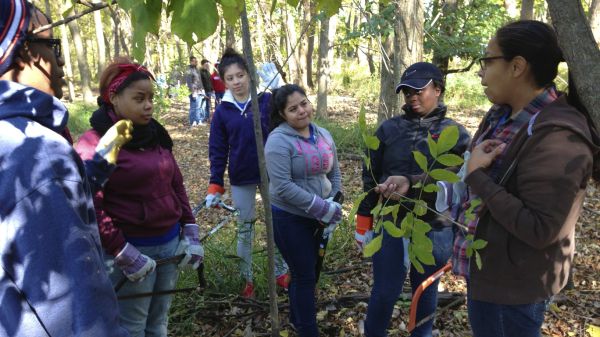 Teens learning in forest