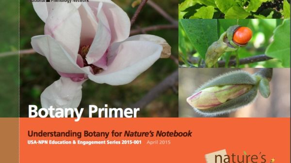 USA-NPN Botany Primer Cover
