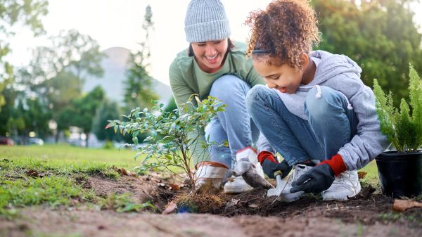 An adult and child planting a tree in a park