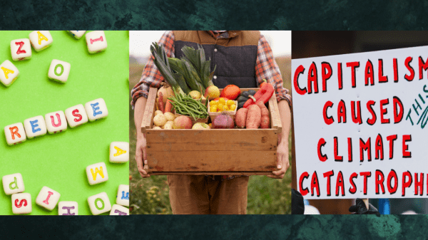 Three photos side-by-side, from left to right, blocks of letters spelling "reuse," a person holding a wooden crate filled with a mix of vegetables, and a poster that reads "capitalism caused this climate catastrophe"