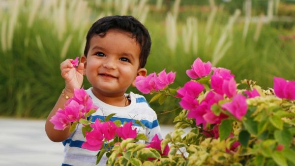 young child playing with pink flowers