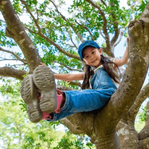 young girl sitting in tree