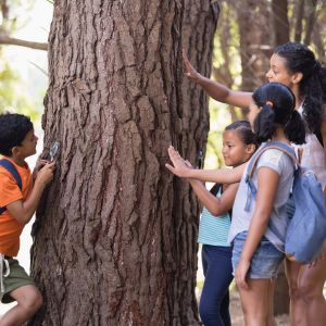 Teacher and children touching tree trunk in forest