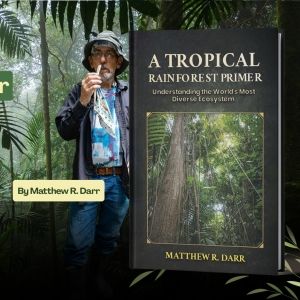 A Tropical Rainforest Primer- Book for Sale-Rainforest Background 