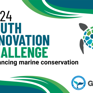 Graphic with green and blue waves on the upper right and lower left corners. The text, "2024 Youth Innovation Challenge: Advancing Marine Conservation" is aligned left. To the right is an illustration of a sea turtle. The Ocean Conservation Administration, Ocean Affairs Council and GEEP logos are on the lower right corner.
