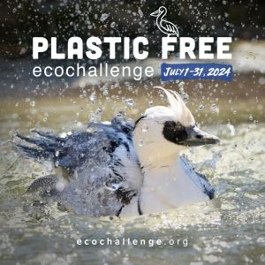Graphic with a photo of a white bird in water with text, "Plastic Free Ecochallenge July1–31, 2024. Ecochallenge.org"