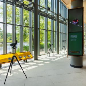 A tall open space with concrete floors and tall glass windows that overlook a pond. Scopes on stands and signage on birds stand in front of the windows. 