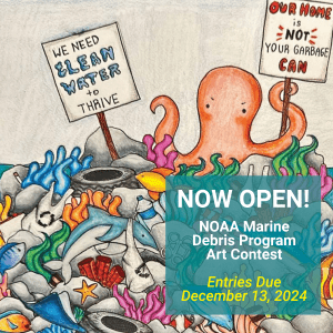 A drawing of a coral reef full of sea creatures and trash, with an octopus at the top holding two signs reading "We need clean water to thrive" and "Our home is not your garbage can."